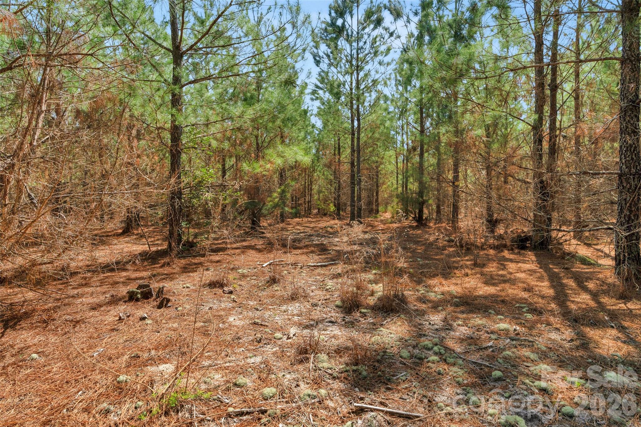 931 Charlie Johnson Road, Unit 10 Kershaw, SC 29067 - Photo 28 of 32