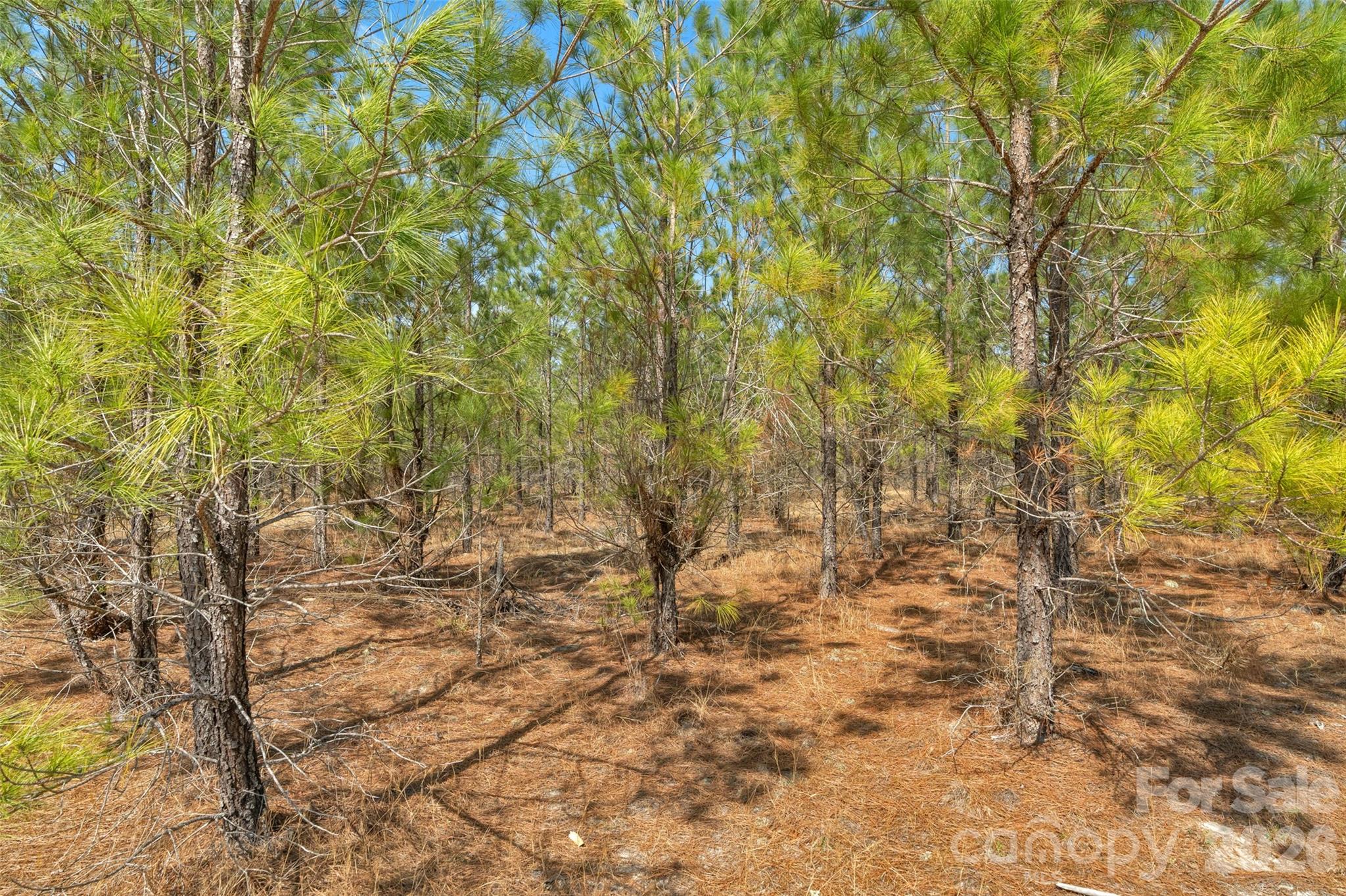 931 Charlie Johnson Road, Unit 10 Kershaw, SC 29067 - Photo 8 of 32
