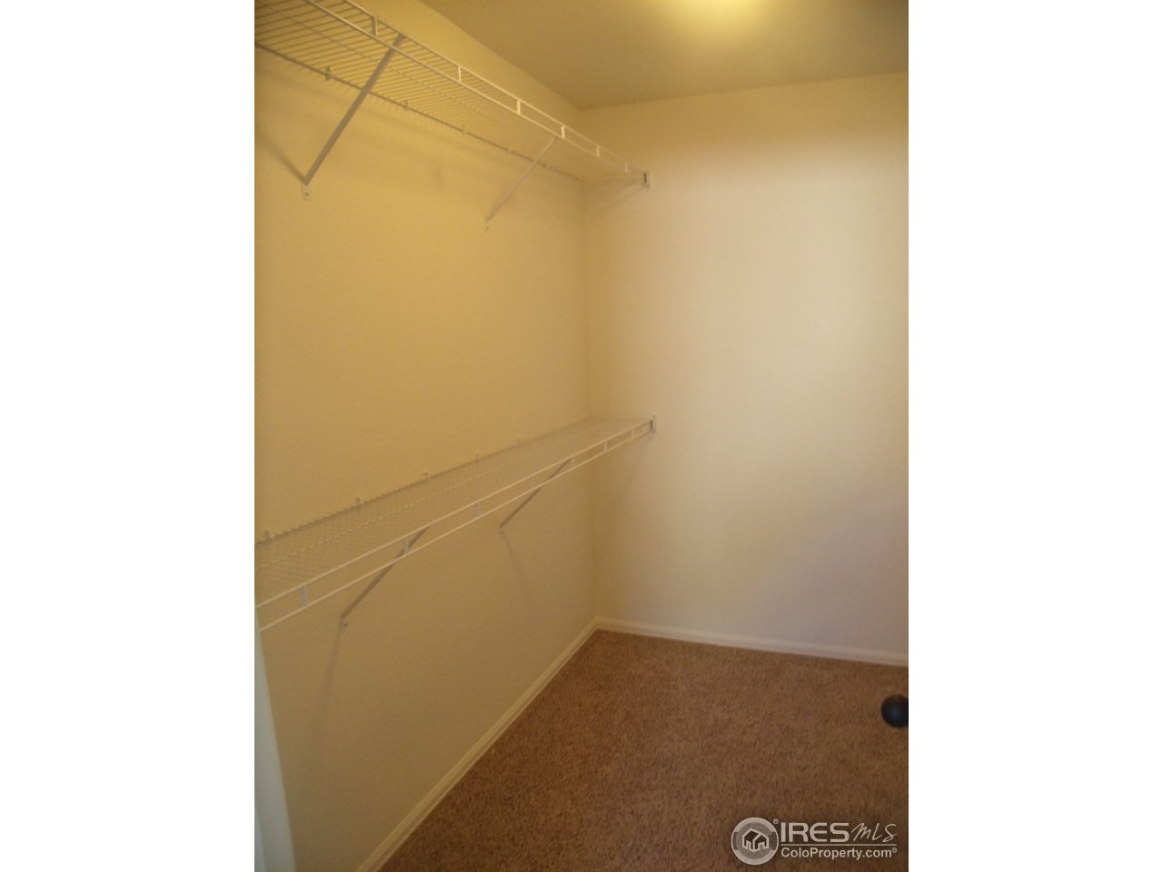 7056 McClellan Road Wellington, CO 80549 - Photo 13 of 17 Gallery Image 13