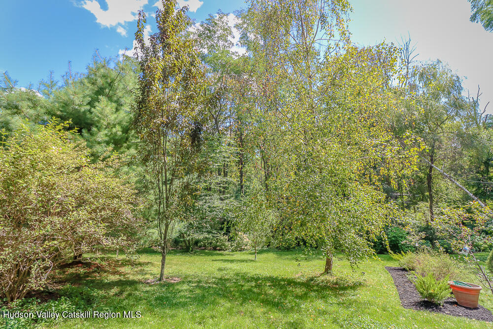 1907 County Rte 5 Canaan, NY 12029 - Photo 12 of 59 IMG_8261