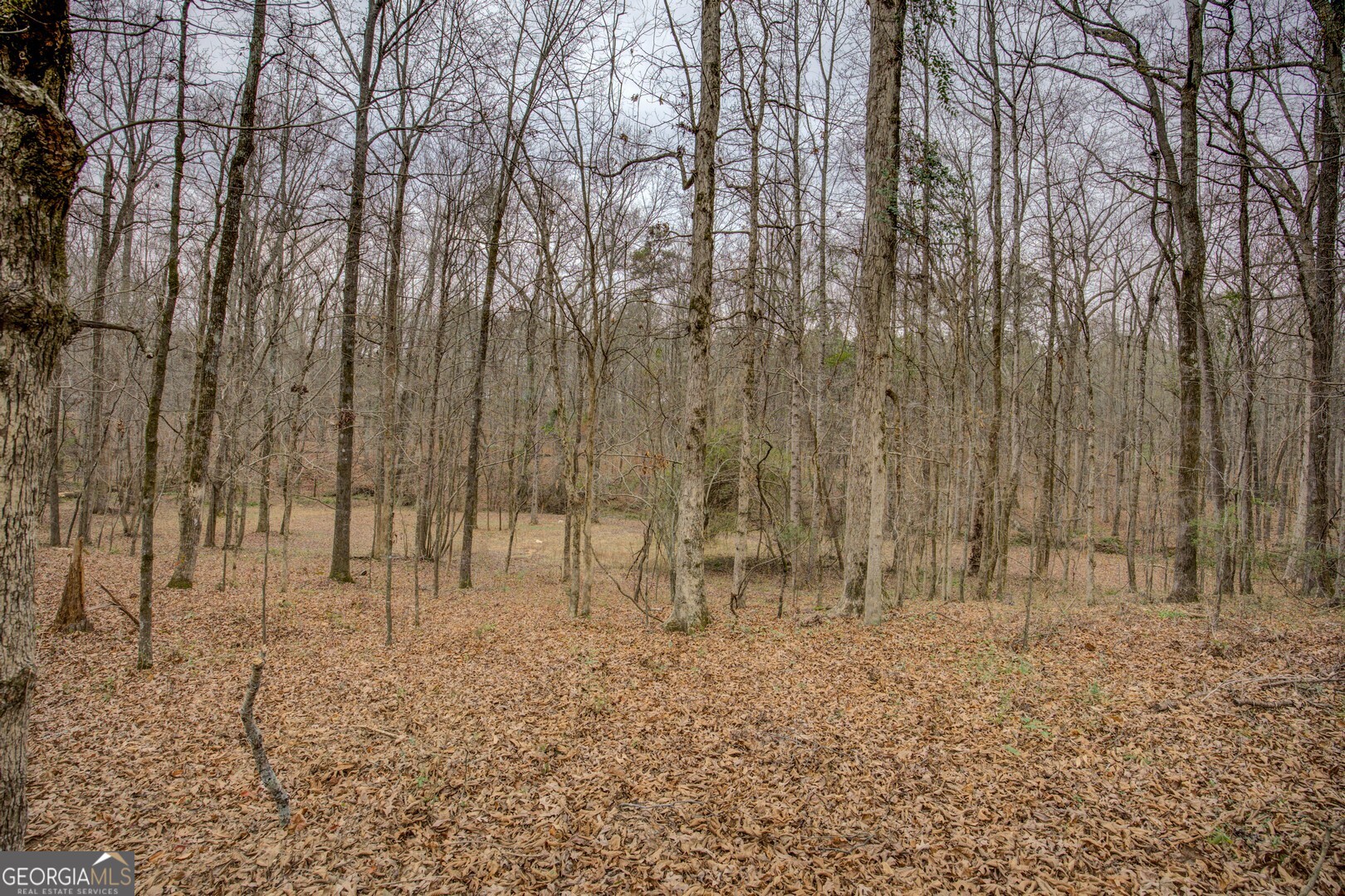 2049 Midway Church Road Newborn, GA 30056 - Photo 71 of 74