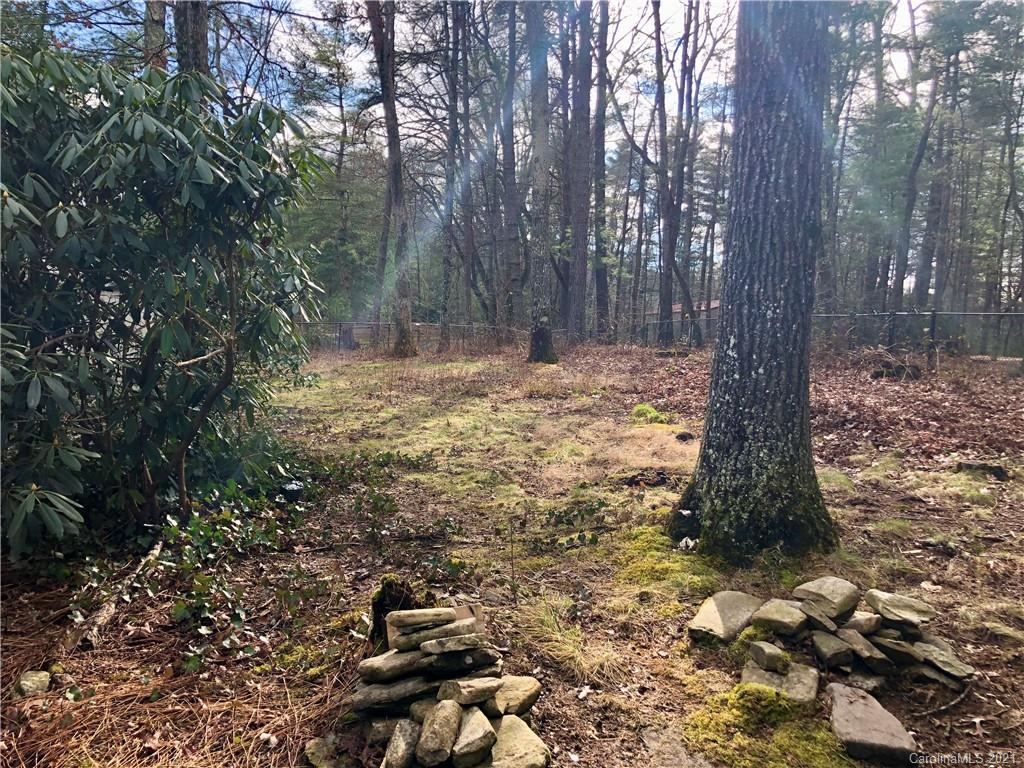1652 Brookside Camp Road Hendersonville, NC 28792 - Photo 24 of 35 Gallery Image 24
