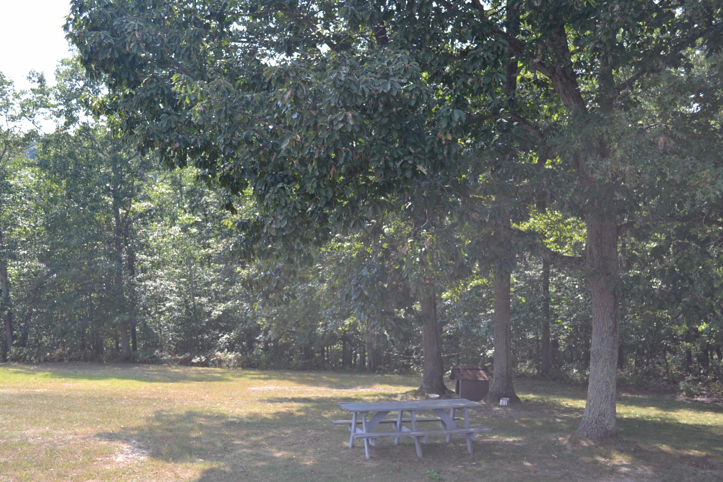 626 Windpsalm Road Renick, WV 24966 - Photo 21 of 75 Gallery Image 21
