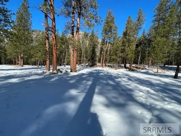 $350,000 | 2811 Highway 93, North Fork, ID 83466