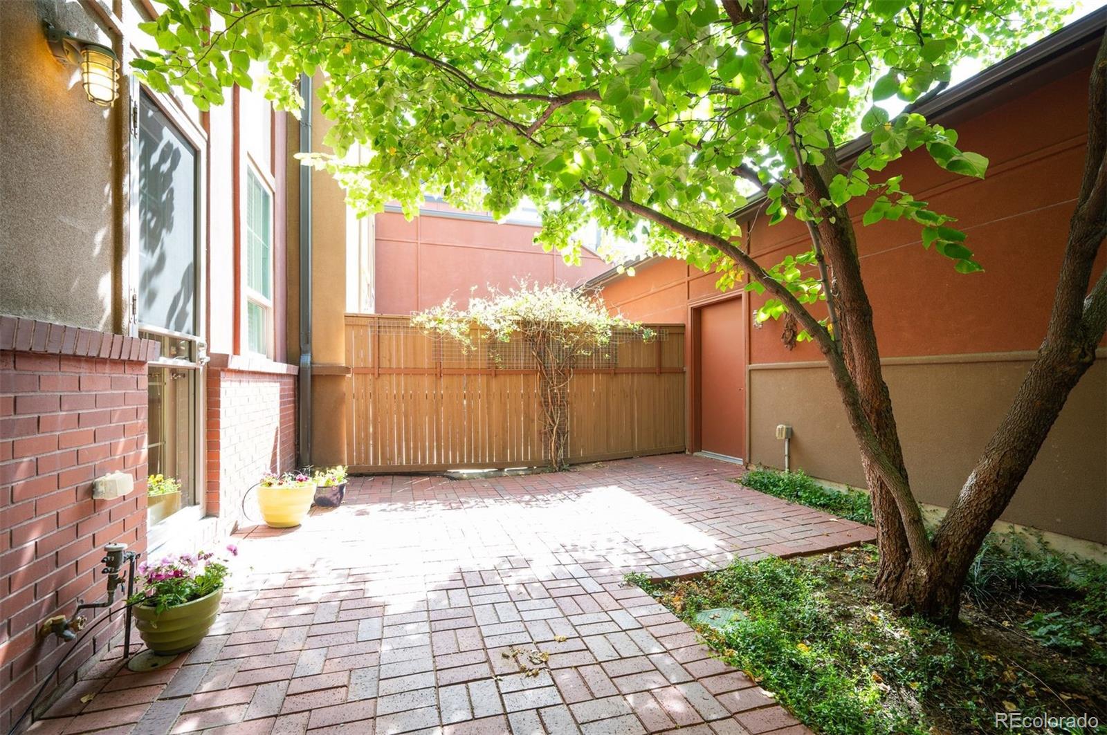 217 Spruce Street, Unit 101 Denver, CO 80230 - Photo 17 of 37 a view of backyard with large trees and wooden fence