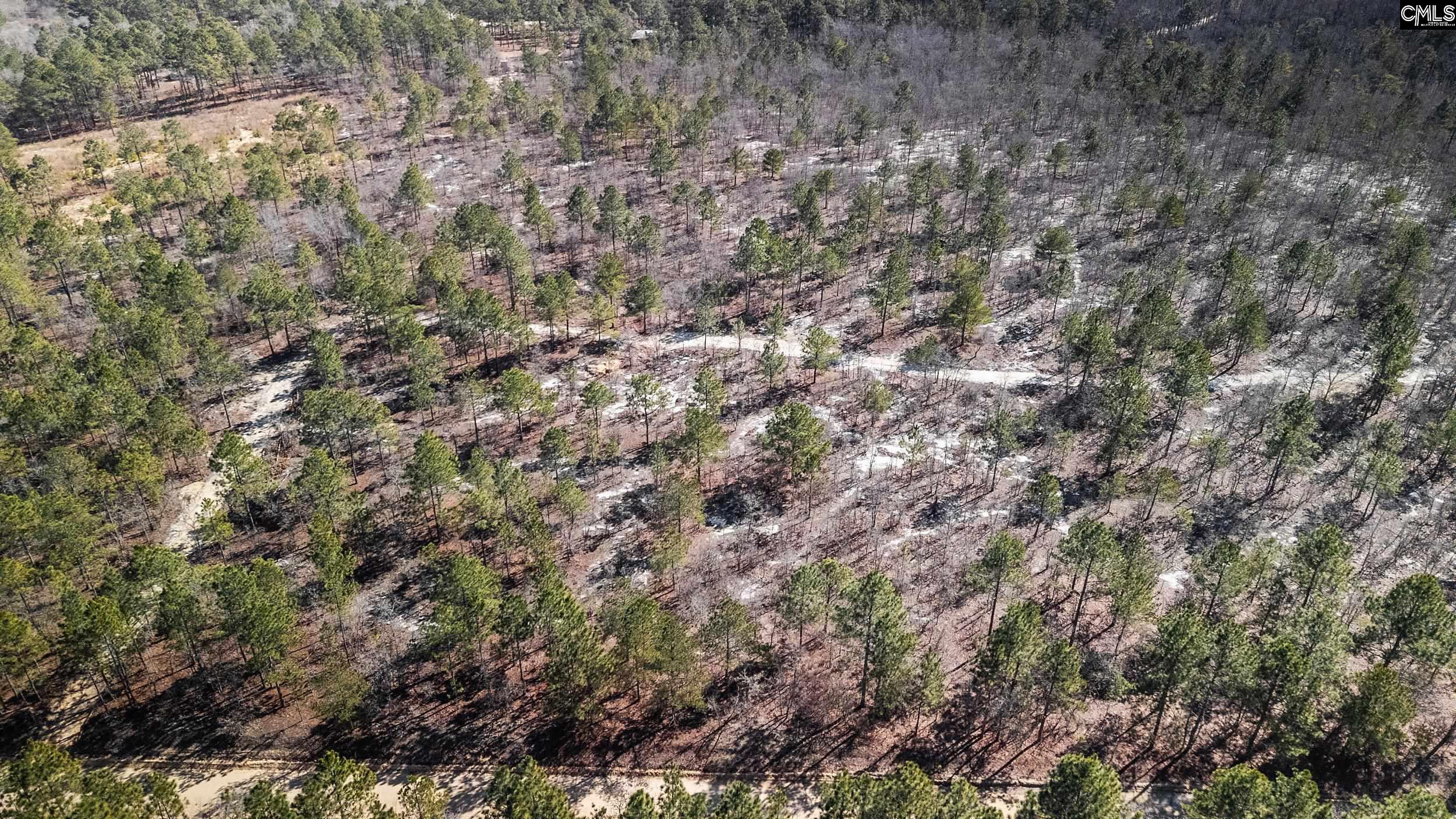 1 Spring Creek Road Lugoff, SC 29078 - Photo 11 of 12
