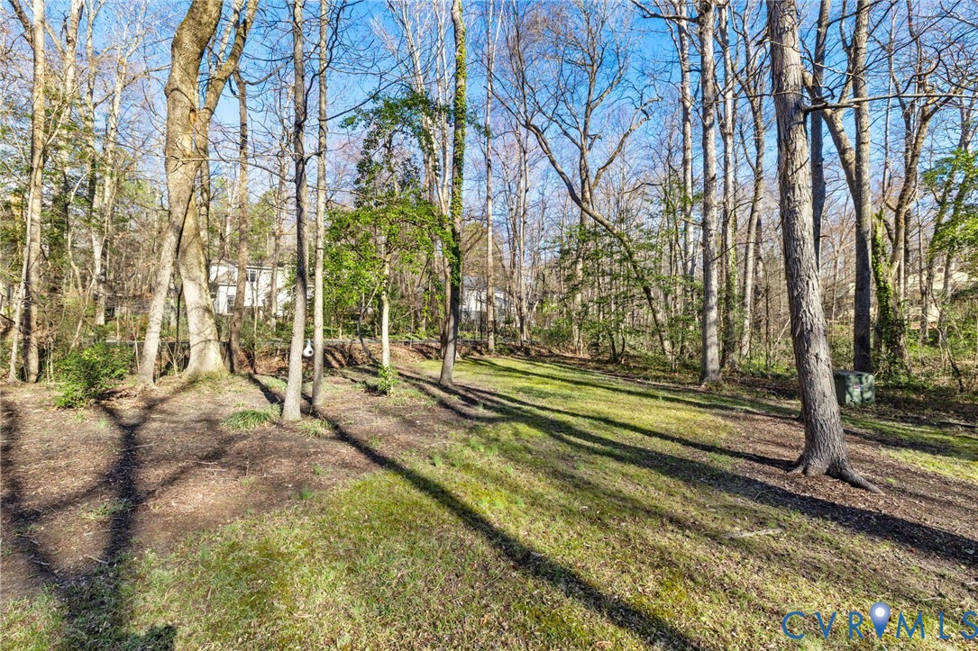 6024 Watch Harbour Road Midlothian, VA 23112 - Photo 43 of 44 a view of backyard with large trees