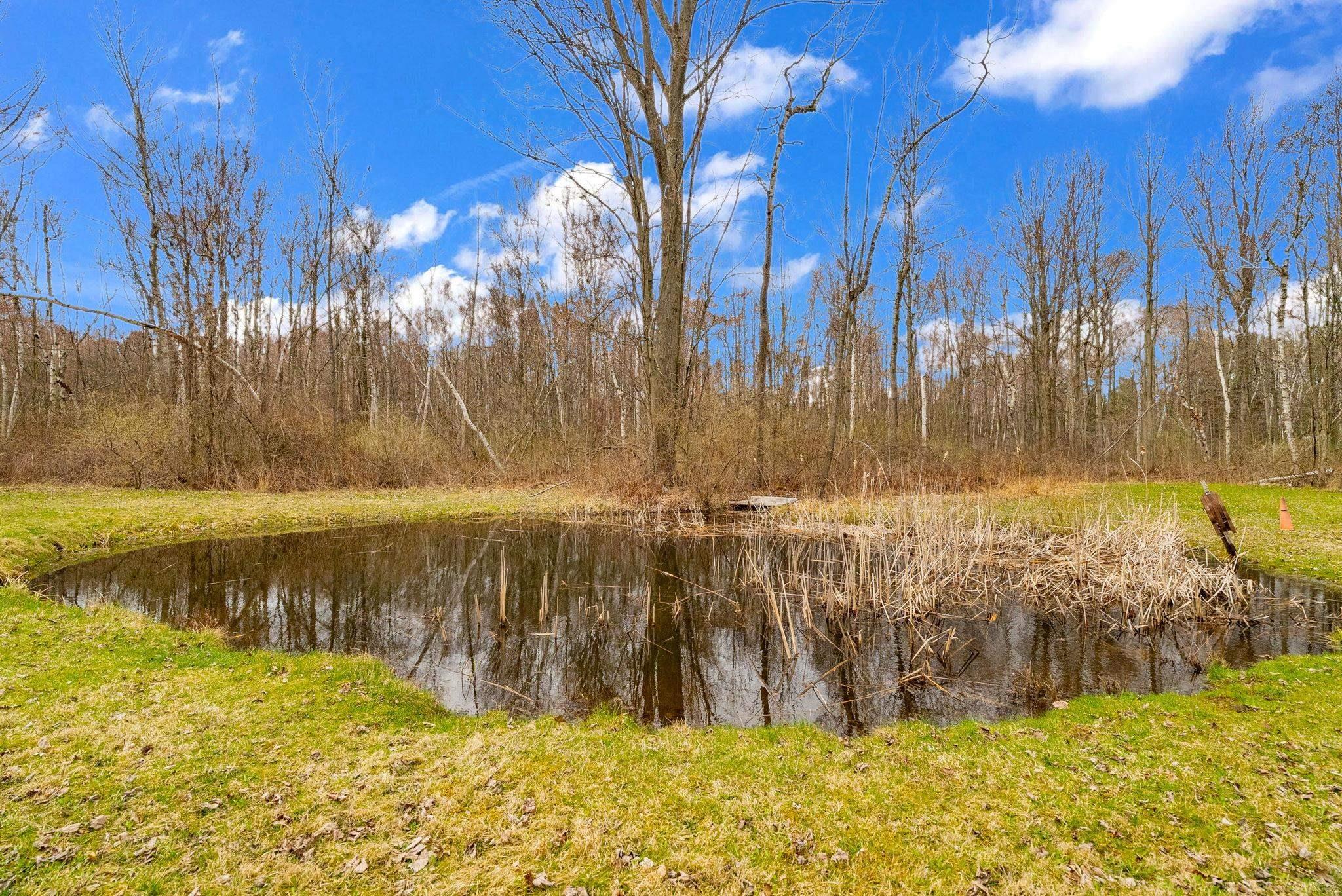 2828 Lakeshore Road Applegate, MI 48401 - Photo 33 of 53