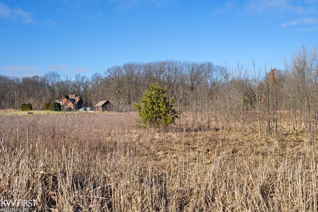 9112 Division Road Columbus, MI 48063 - Photo 12 of 19