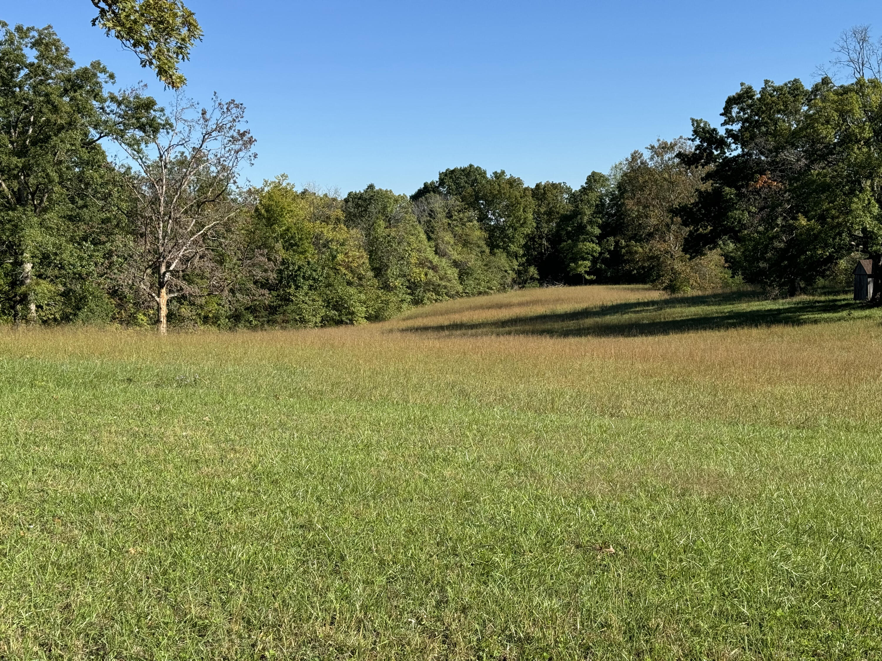0 Dreyfus Road Waco, KY 40385 - Photo 17 of 26 IMG_4013 2