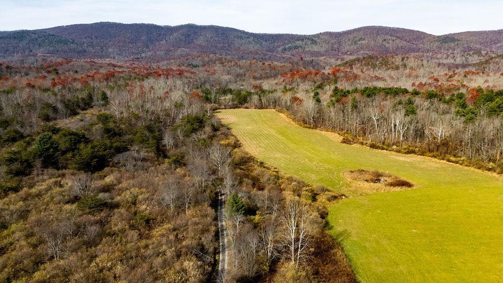 Tbd Jackson River Road Monterey, VA 24465 - Photo 19 of 22