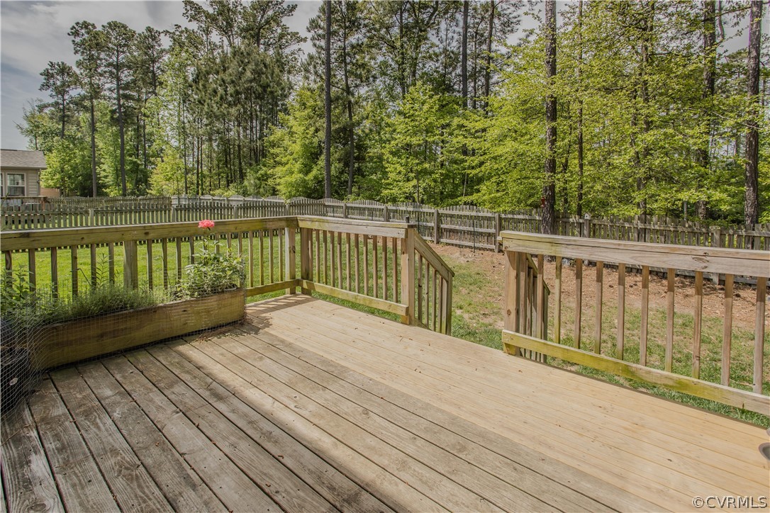 6824 Crackerberry Drive Moseley, VA 23120 - Photo 34 of 41