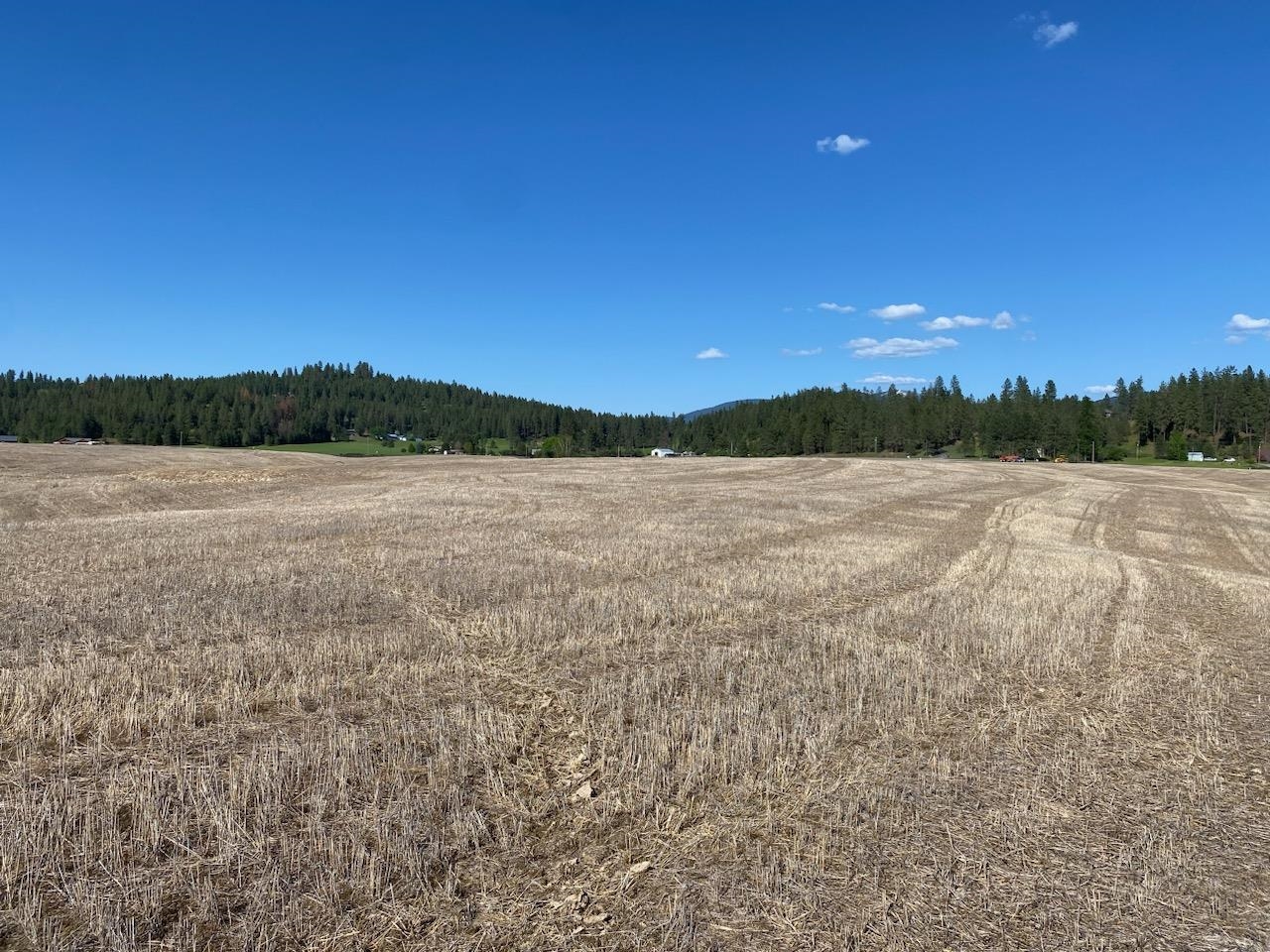 902 East Little Deep Creek Road, Unit LOT 1 Colbert, WA 99005 - Photo 8 of 13