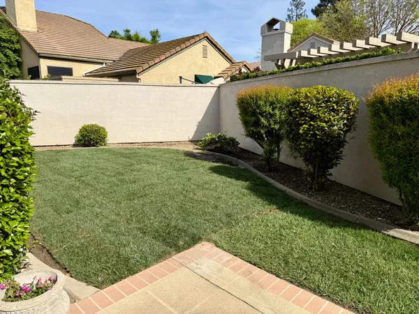 a view of a backyard