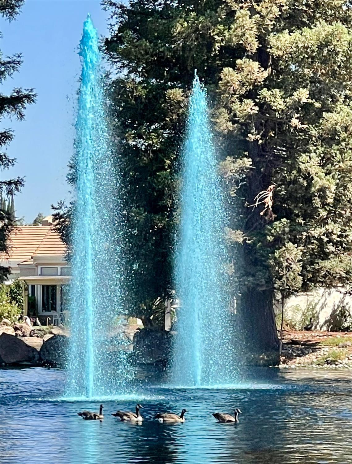 1104 Copper Cottage Lane Modesto, CA 95355 - Photo 44 of 48