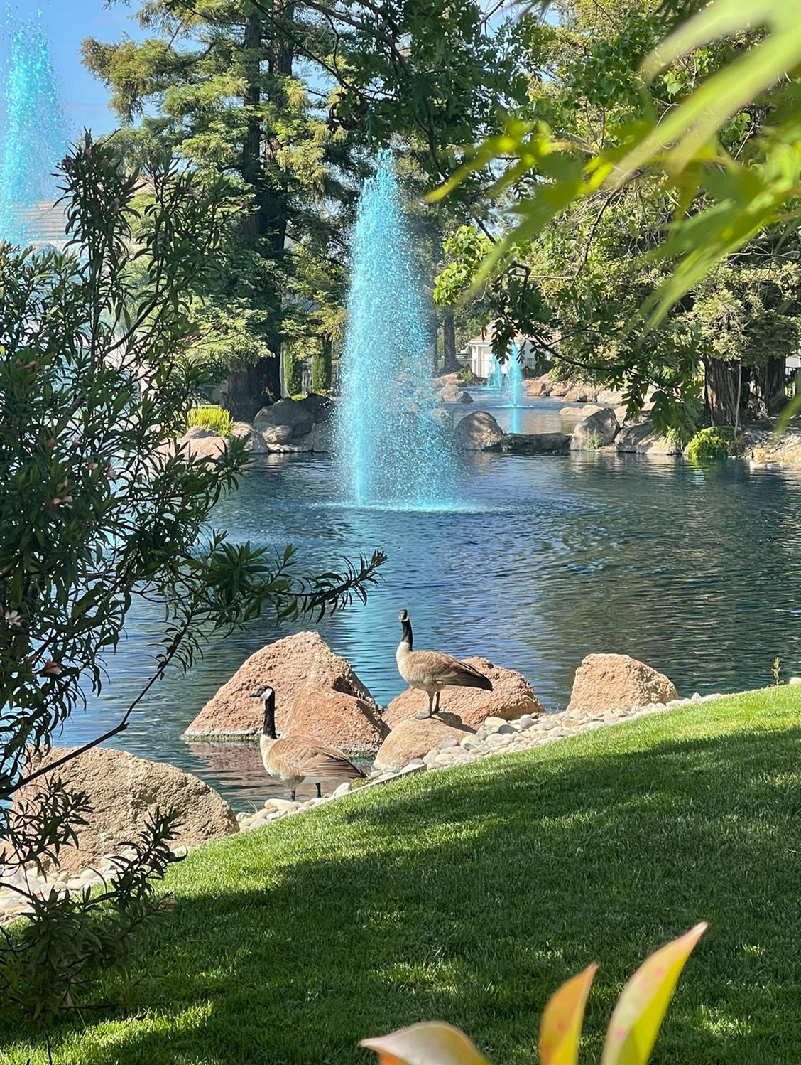 1104 Copper Cottage Lane Modesto, CA 95355 - Photo 45 of 48