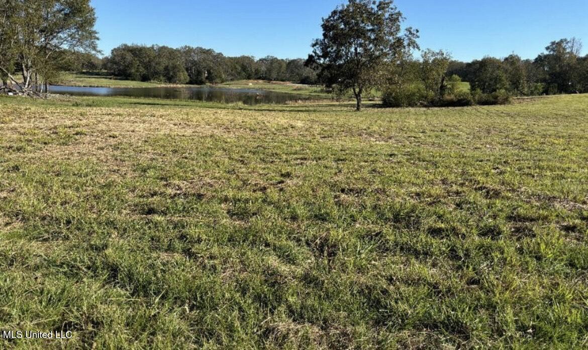 1029 North Ratliff Road Jackson, MS 39209 - Photo 5 of 6 1029 N Ratliff 4