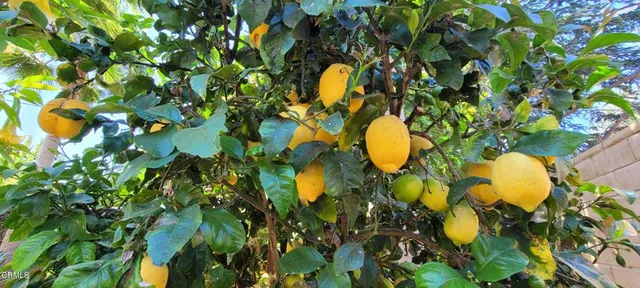 $949,000 | 213 Ashby Court, Oak View, CA 93022