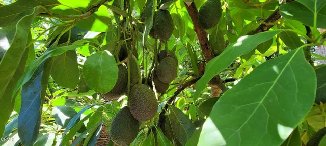 $949,000 | 213 Ashby Court, Oak View, CA 93022