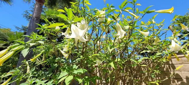 $949,000 | 213 Ashby Court, Oak View, CA 93022