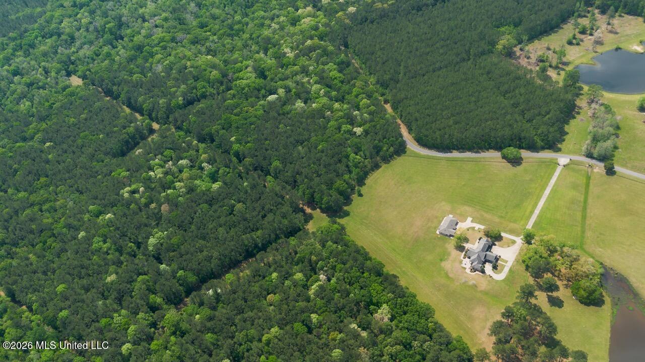 1979 Leman Road Oakdale, LA 71463 - Photo 43 of 44 DJI_0066 Large