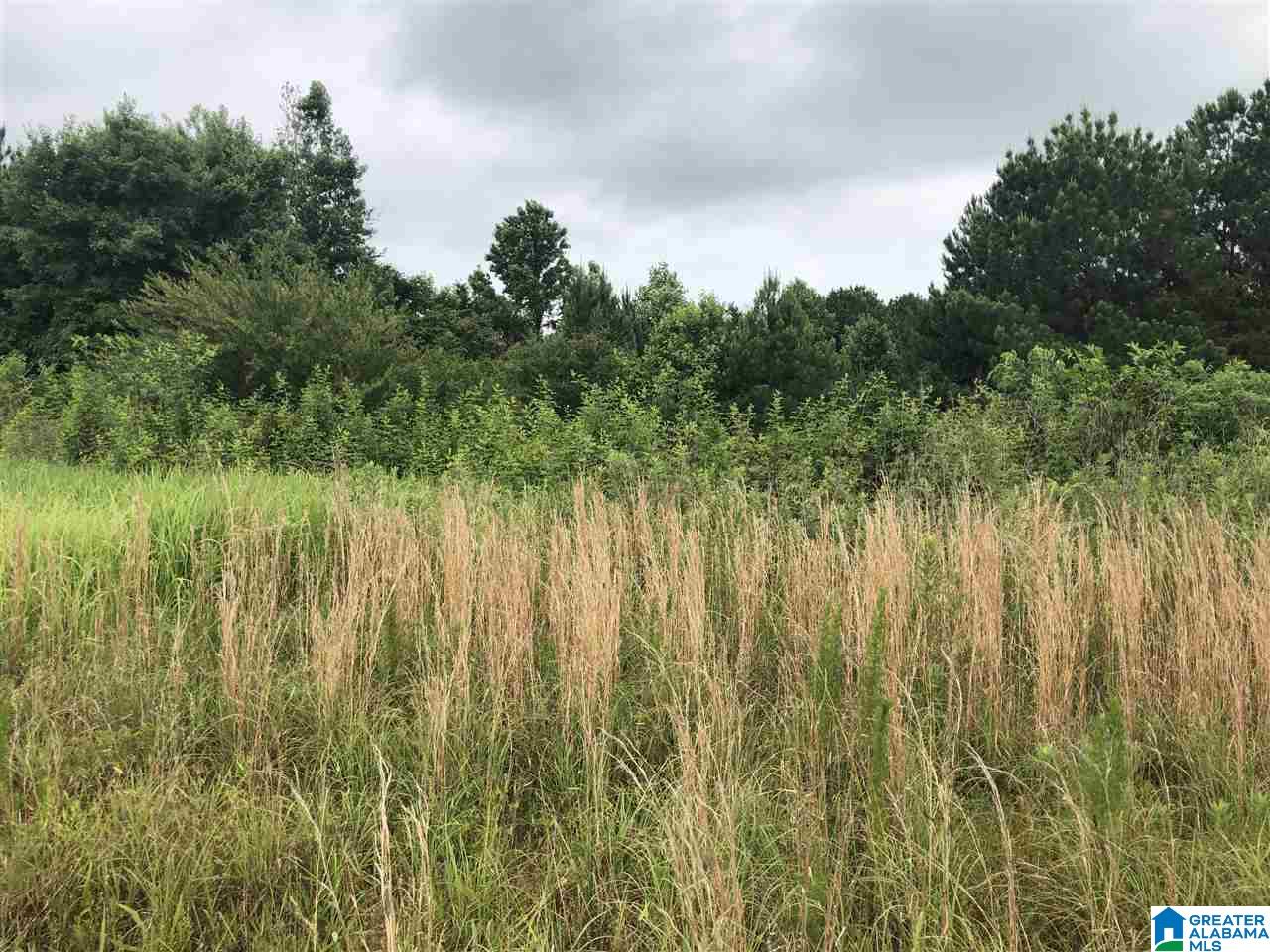 0 Maple Crest Lane Hayden, AL 35079 - Photo 14 of 30