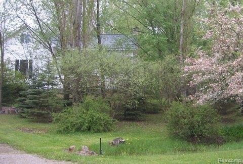 2090 Riley Road Caro, MI 48723 - Photo 8 of 14 135_3505