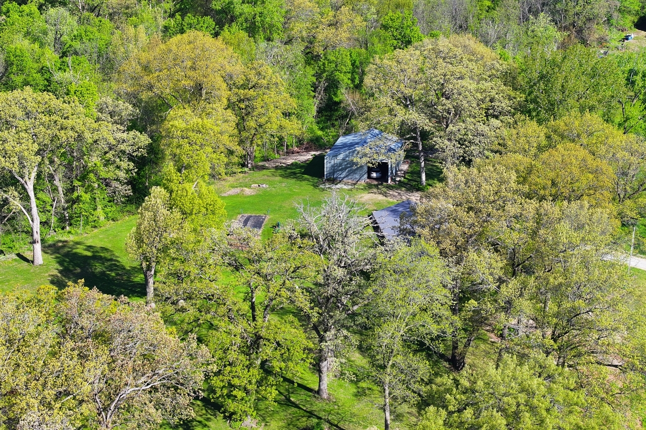 14755 Fenton Road Morrison, IL 61270 - Photo 29 of 34 a view of a garden with a tree