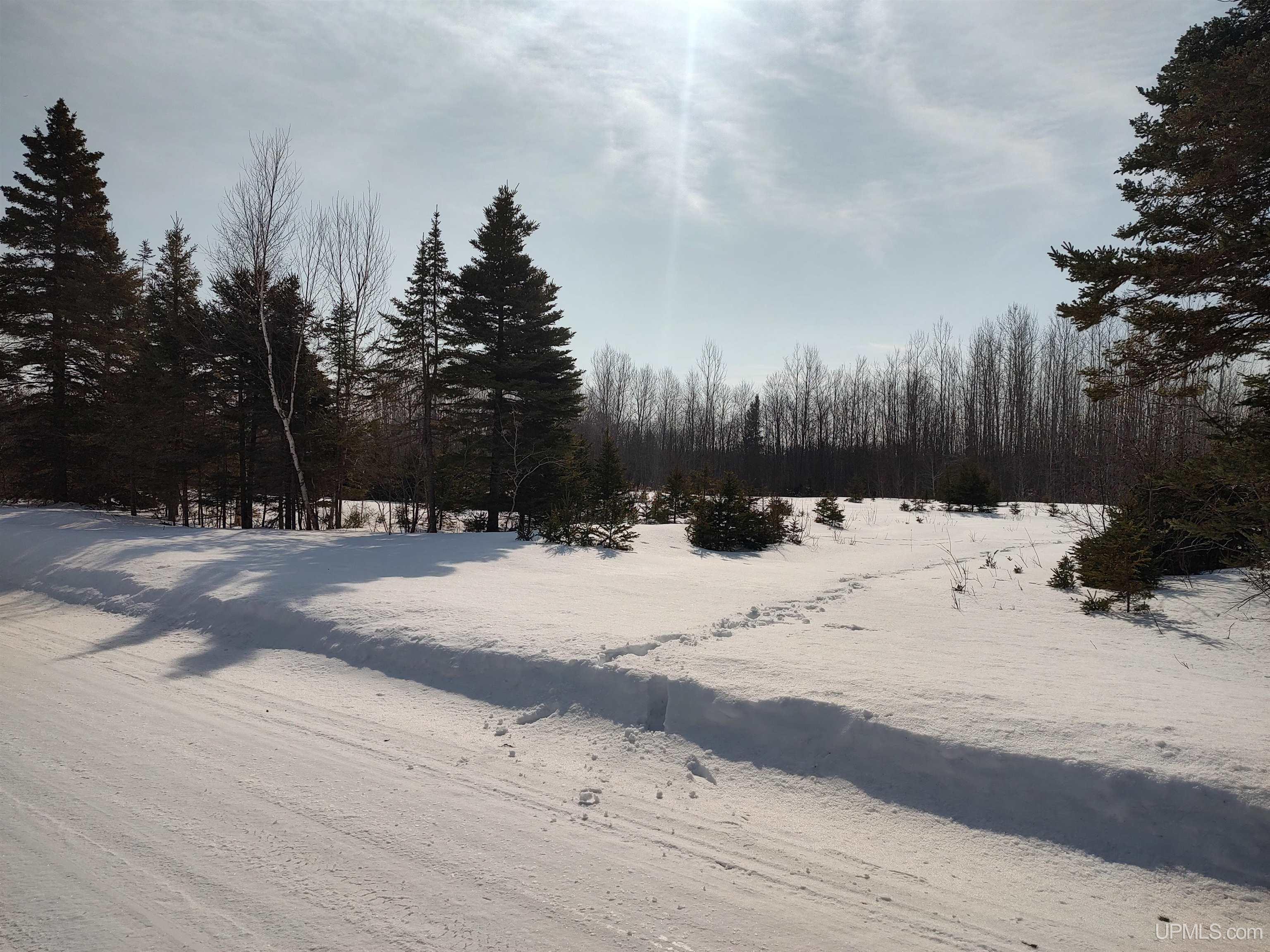 30-acres Parkington Road Gulliver, MI 49840 - Photo 2 of 31