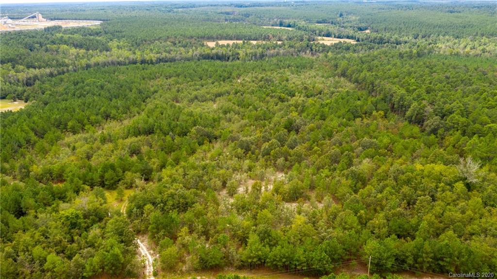 Vac Fox Road Hamlet, NC 28345 - Photo 2 of 16 a view of a forest with a houses