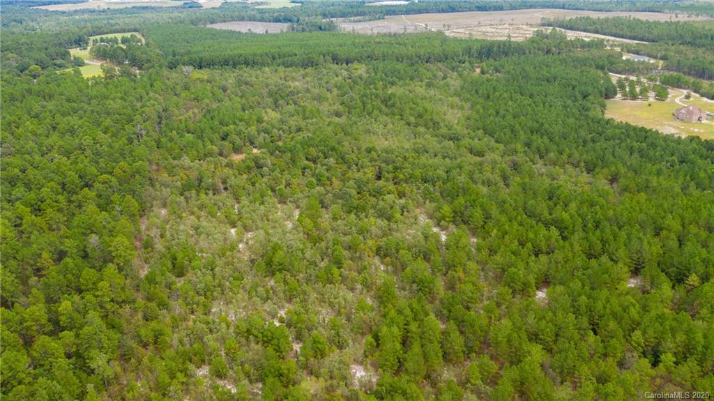 Vac Fox Road Hamlet, NC 28345 - Photo 11 of 16 a view of a big yard with large trees