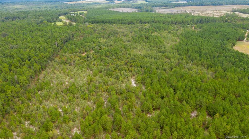 Vac Fox Road Hamlet, NC 28345 - Photo 12 of 16 a view of a big yard with large trees