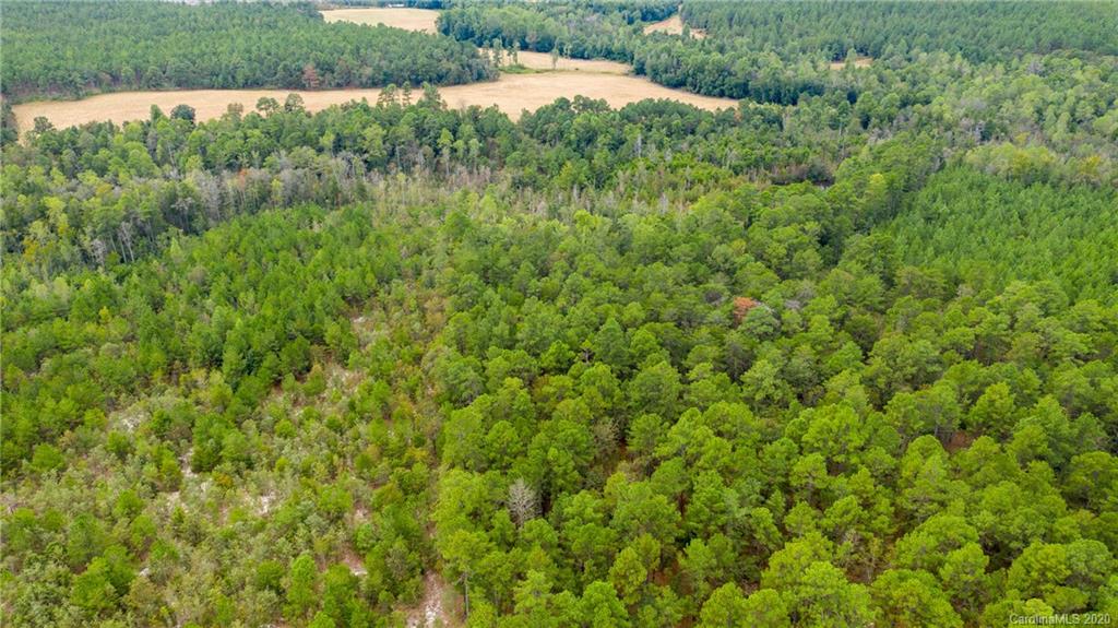 Vac Fox Road Hamlet, NC 28345 - Photo 15 of 16 a view of a field of grass and trees