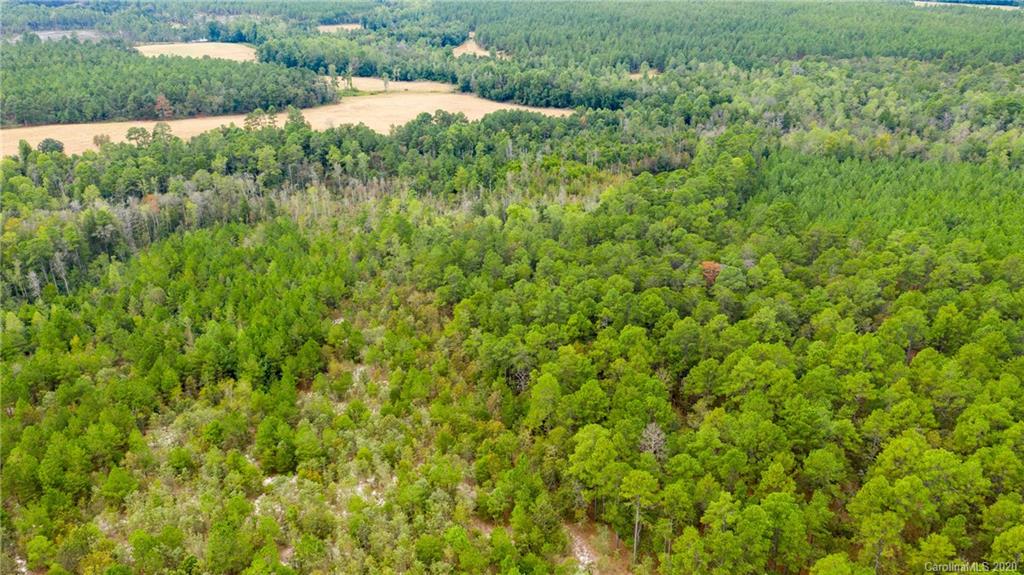 Vac Fox Road Hamlet, NC 28345 - Photo 16 of 16 a view of a lush green field