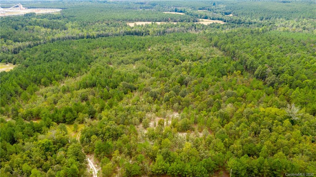 Vac Fox Road Hamlet, NC 28345 - Photo 3 of 16 a view of a large yard with lots of green space and deers