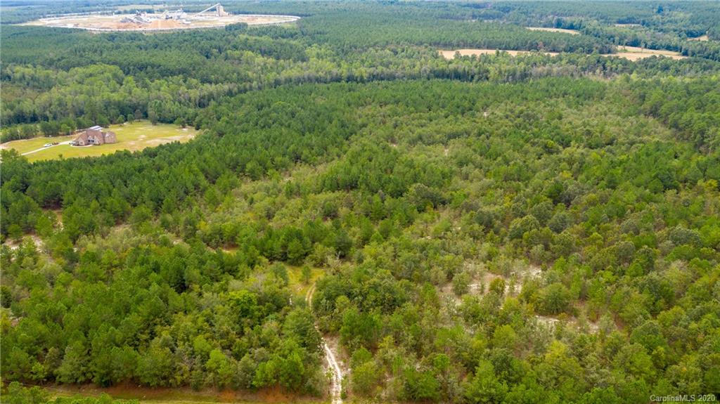 Vac Fox Road Hamlet, NC 28345 - Photo 4 of 16 a view of a field of grass and trees