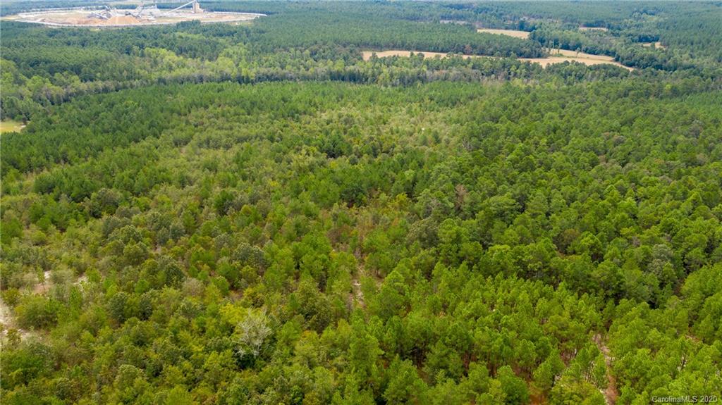 Vac Fox Road Hamlet, NC 28345 - Photo 5 of 16 a view of a lush green forest with houses