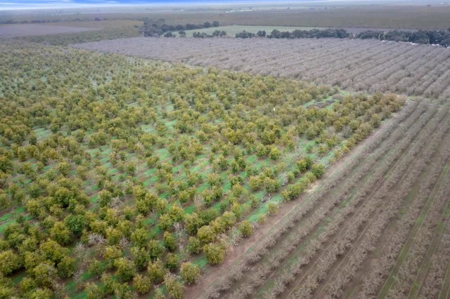 a view of a field with an outdoor space