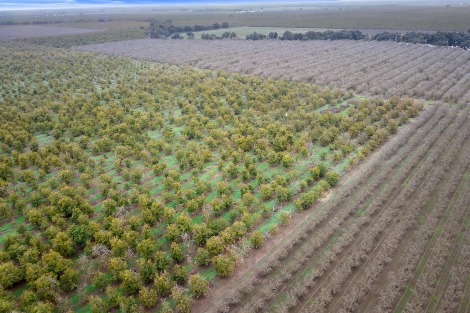 5913 South Van Allen Road Stockton, CA 95215 - Photo 3 of 12 a view of a field with an outdoor space