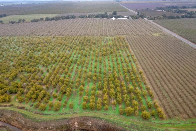 a view of aerial view of residential houses with outdoor space