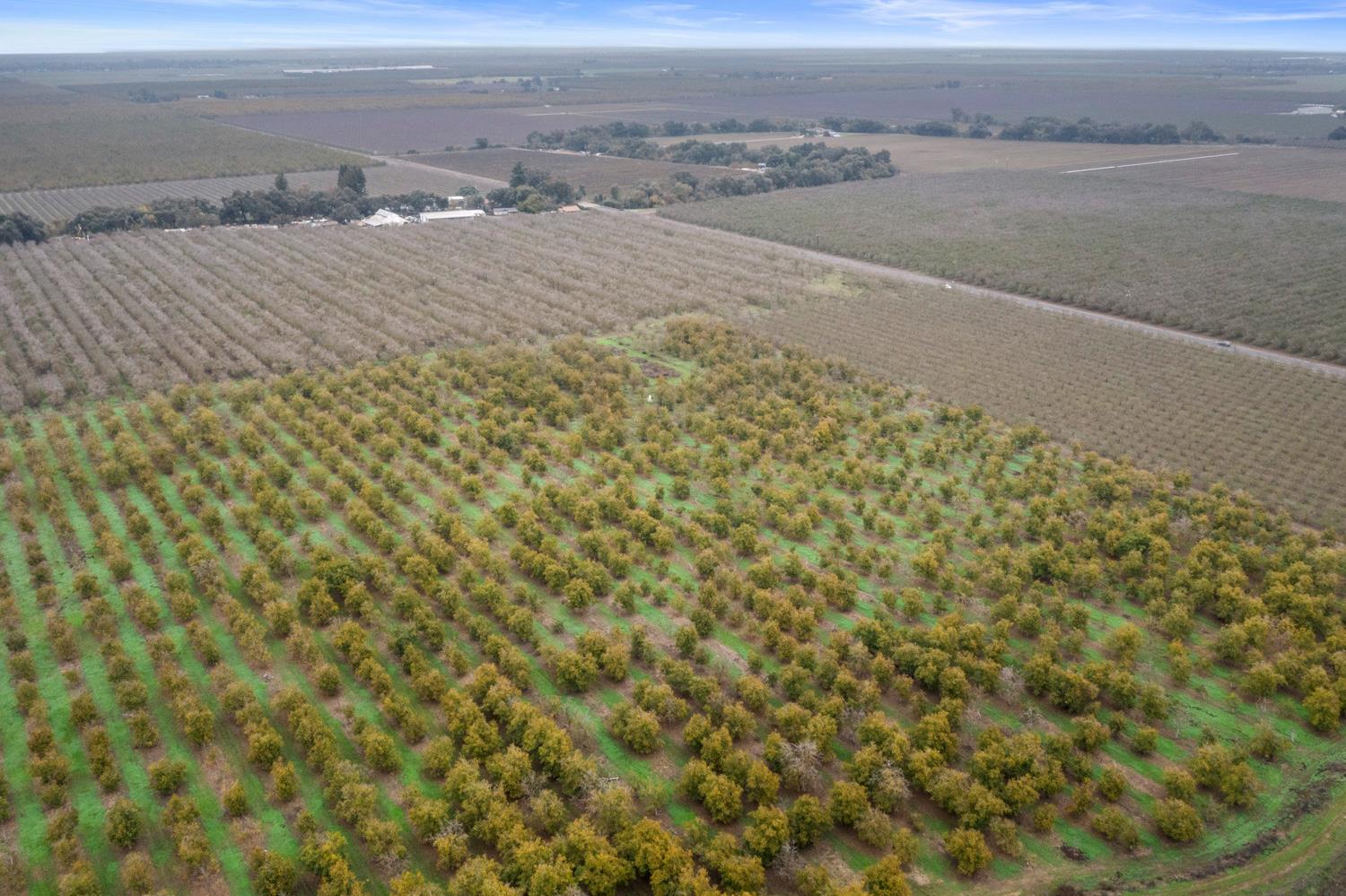 5913 South Van Allen Road Stockton, CA 95215 - Photo 5 of 12 a view of an outdoor space and mountain view