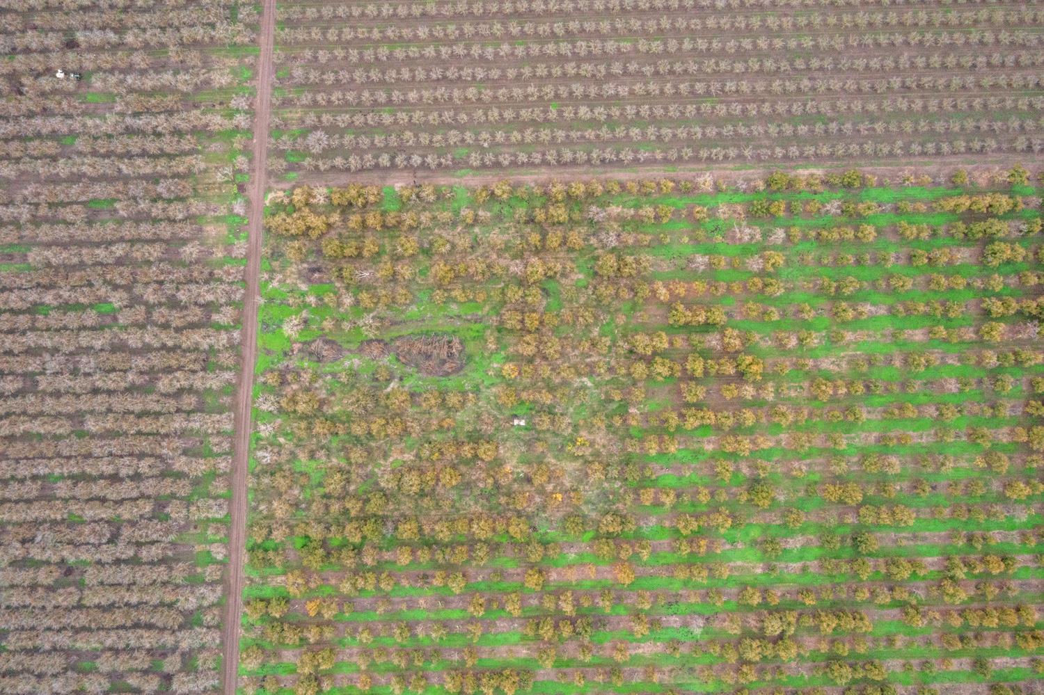 5913 South Van Allen Road Stockton, CA 95215 - Photo 10 of 12 a bathroom with a shower