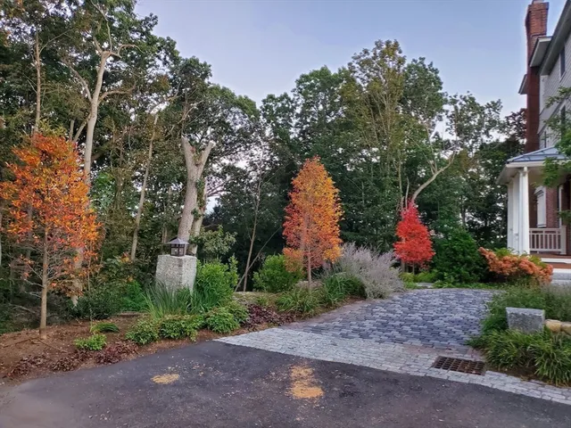 a front view of a house with a yard and a tree