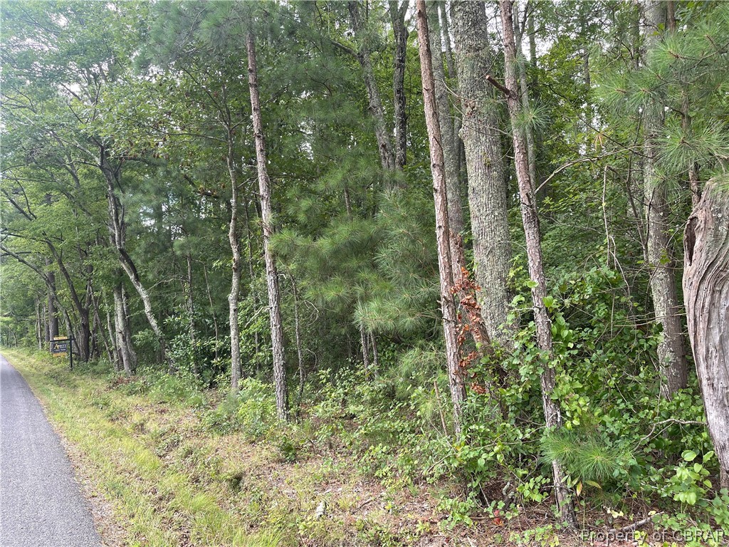 0 Line Fence Road Hayes, VA 23072 - Photo 14 of 14