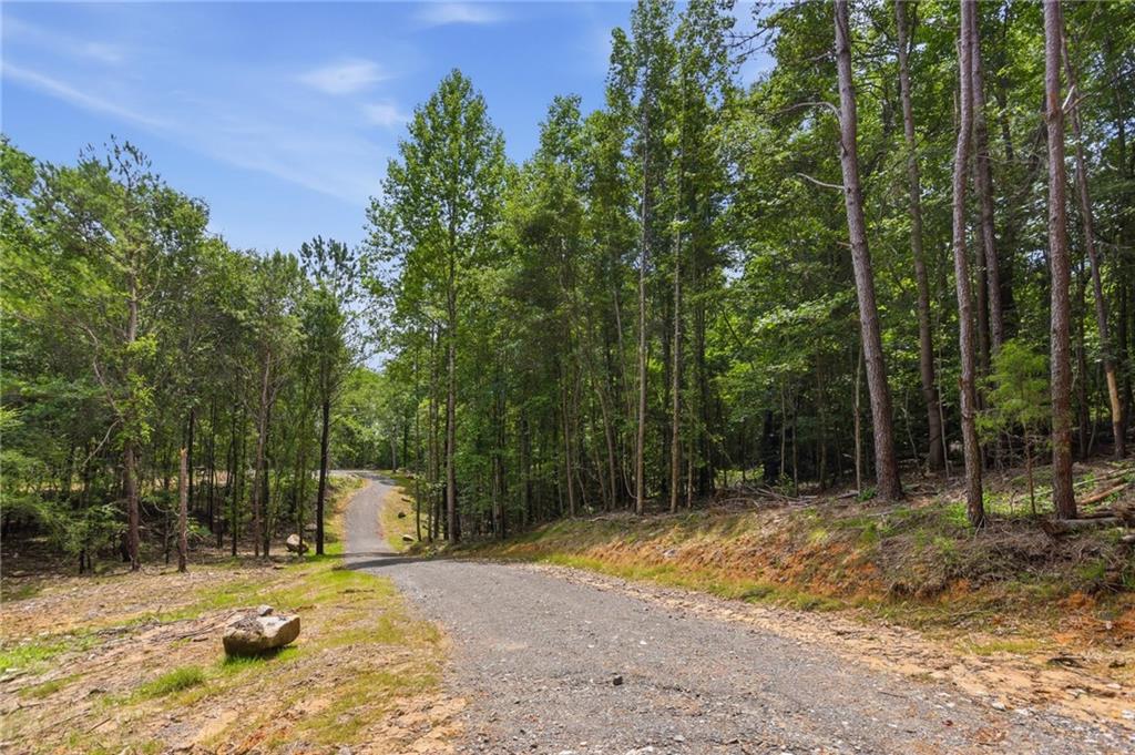 Lot 1 Pete Path Dallas, GA 30157 - Photo 10 of 21
