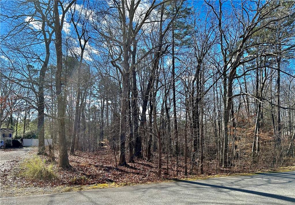 0 Morning Glory Road Randleman, NC 27317 - Photo 1 of 14 Gallery Image 1