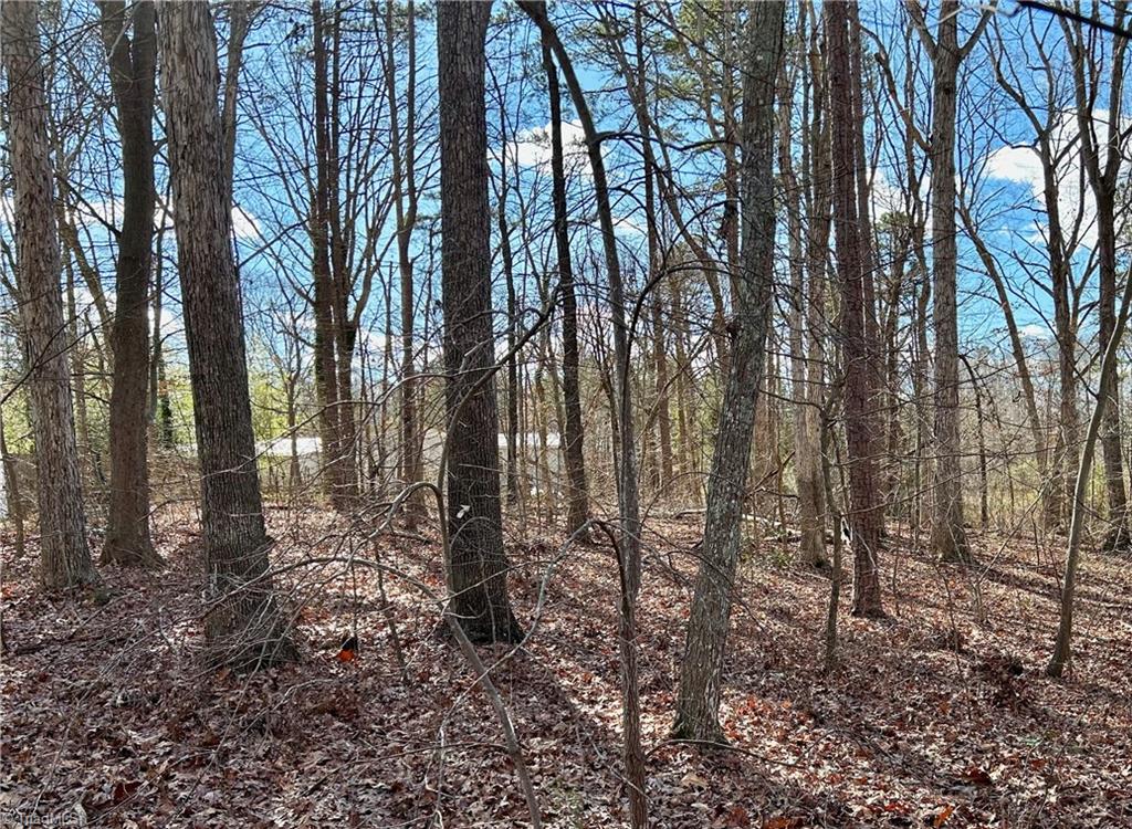 0 Morning Glory Road Randleman, NC 27317 - Photo 11 of 14 Gallery Image 11