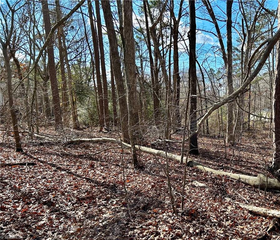 0 Morning Glory Road Randleman, NC 27317 - Photo 12 of 14 Gallery Image 12