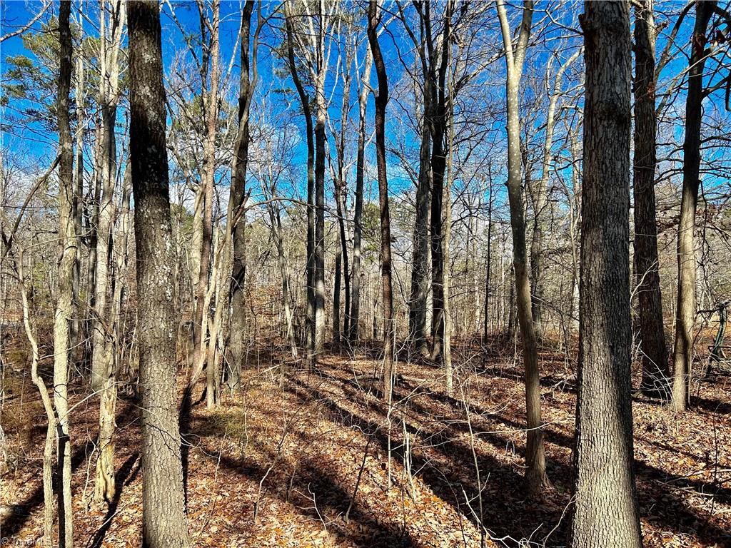 0 Morning Glory Road Randleman, NC 27317 - Photo 14 of 14 Gallery Image 14