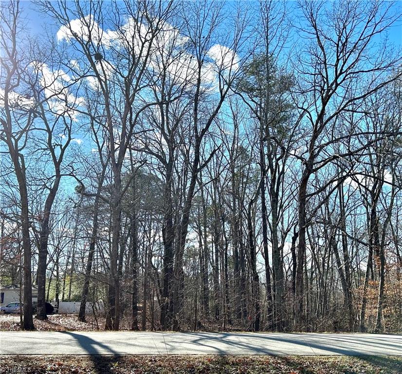 0 Morning Glory Road Randleman, NC 27317 - Photo 2 of 14 Gallery Image 2